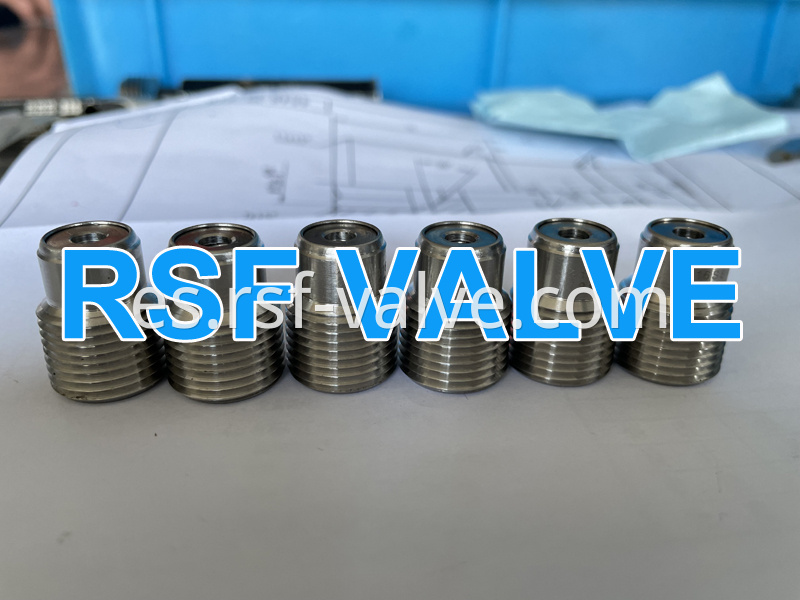 5 Check Valve Of Api 6d Ball Valve Rsf Valve Jpg